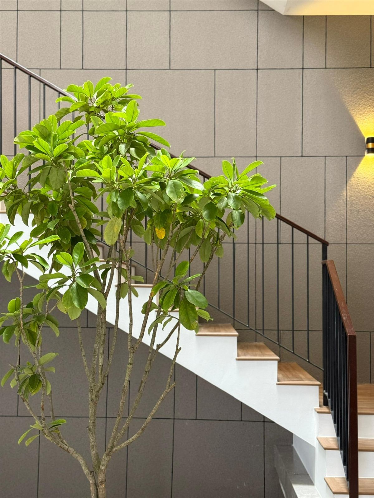 Spray paint with groove lines on the staircase wall of the Elmina show unit
